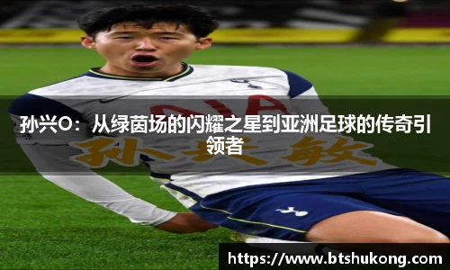 bsports官网入口