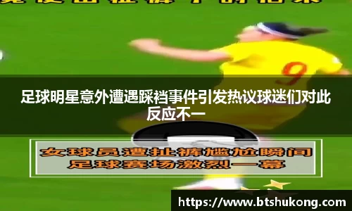 bsports官网入口