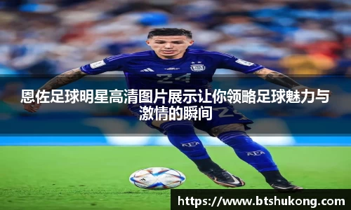 bsports官网入口